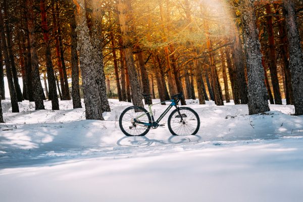 Mondraker DUSTY R – Bild 7