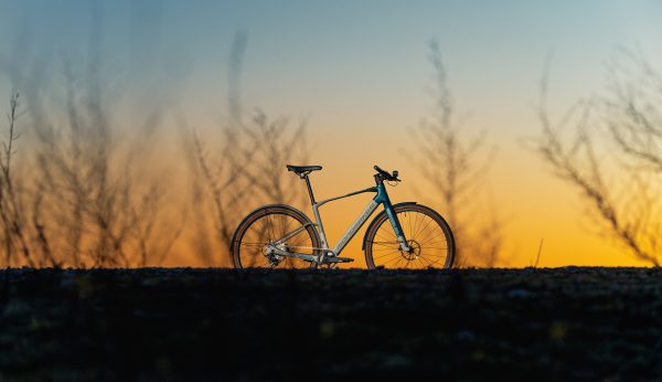 Mondraker DUSTY X – Bild 2