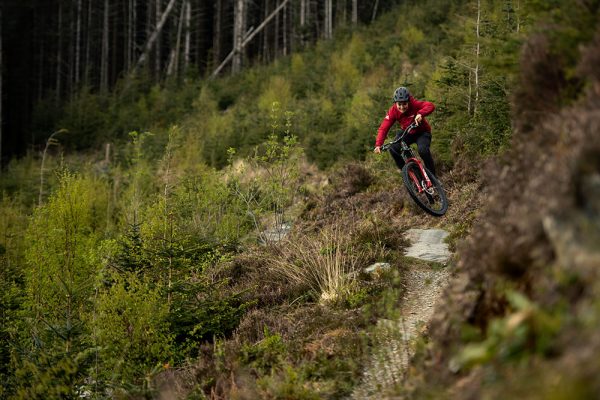 Santa Cruz Bronson C S – Bild 5