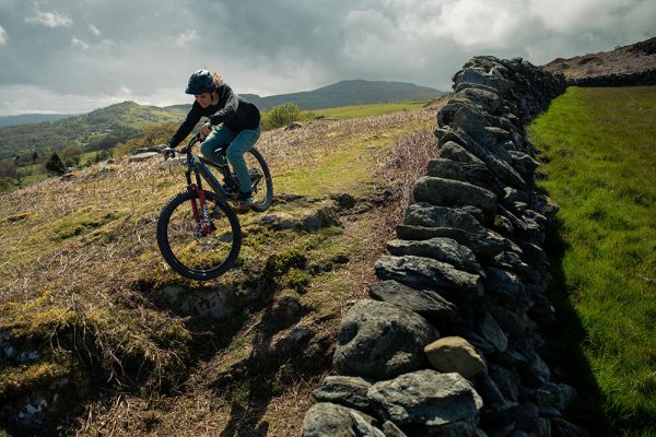 Santa Cruz Bronson C S – Bild 3